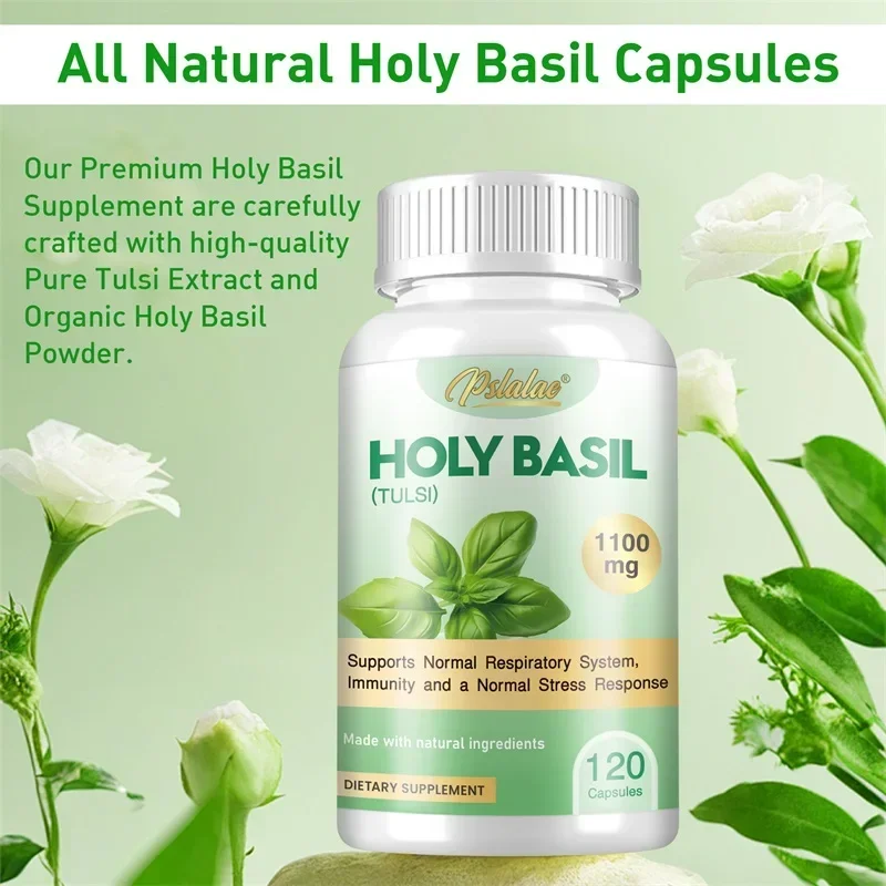 Tulsi Holy Basil - Holy Basil Capsules - Enhance Immunity,